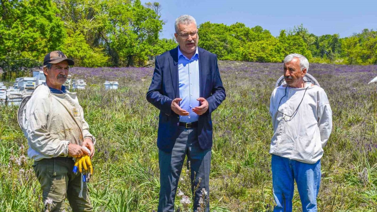 Karacabey’de Longoz ormanlarında görsel şölen