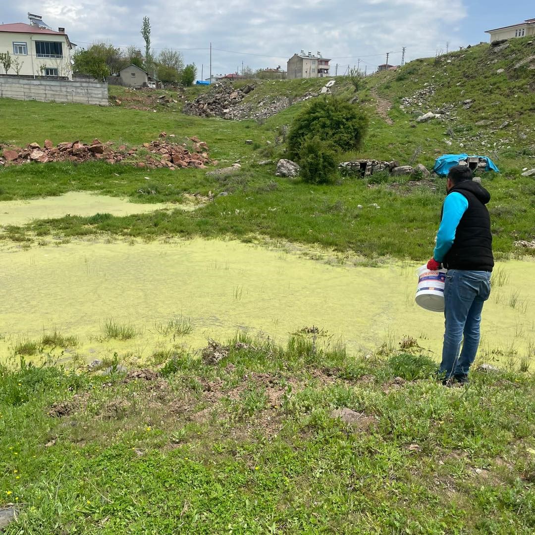 Karakoçan’da ilaçlama çalışmaları sürüyor