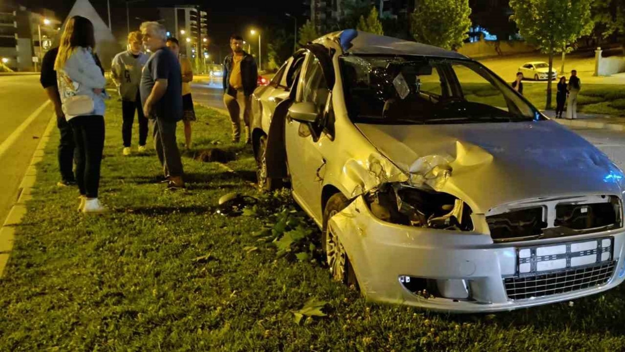 Kontrolden çıkan araç aydınlatma direği ve ağaçları devirdi