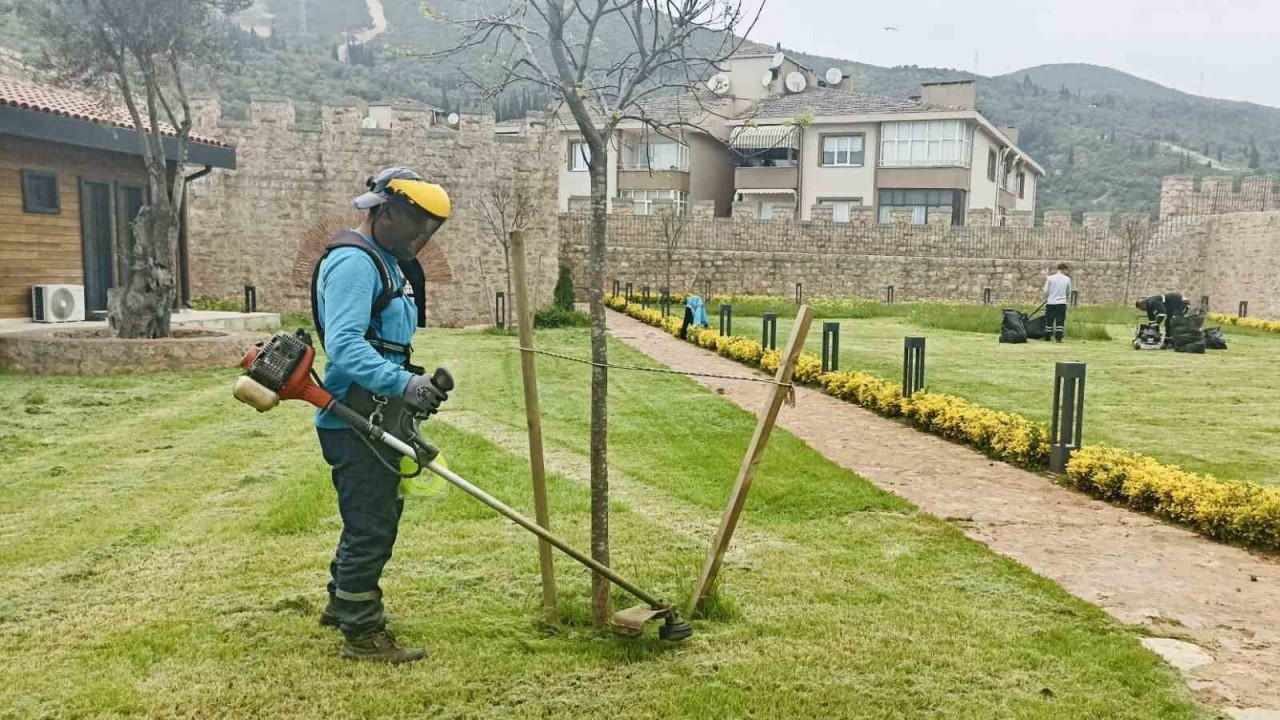 Körfez’de yabani otlar temizleniyor