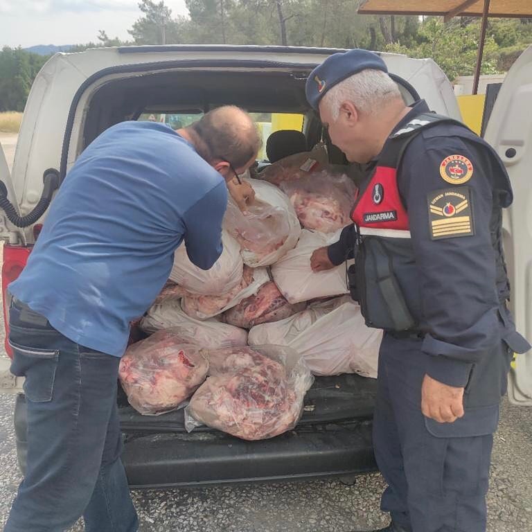 Köyceğiz’de kaçak hayvansal ürünler ele geçirildi