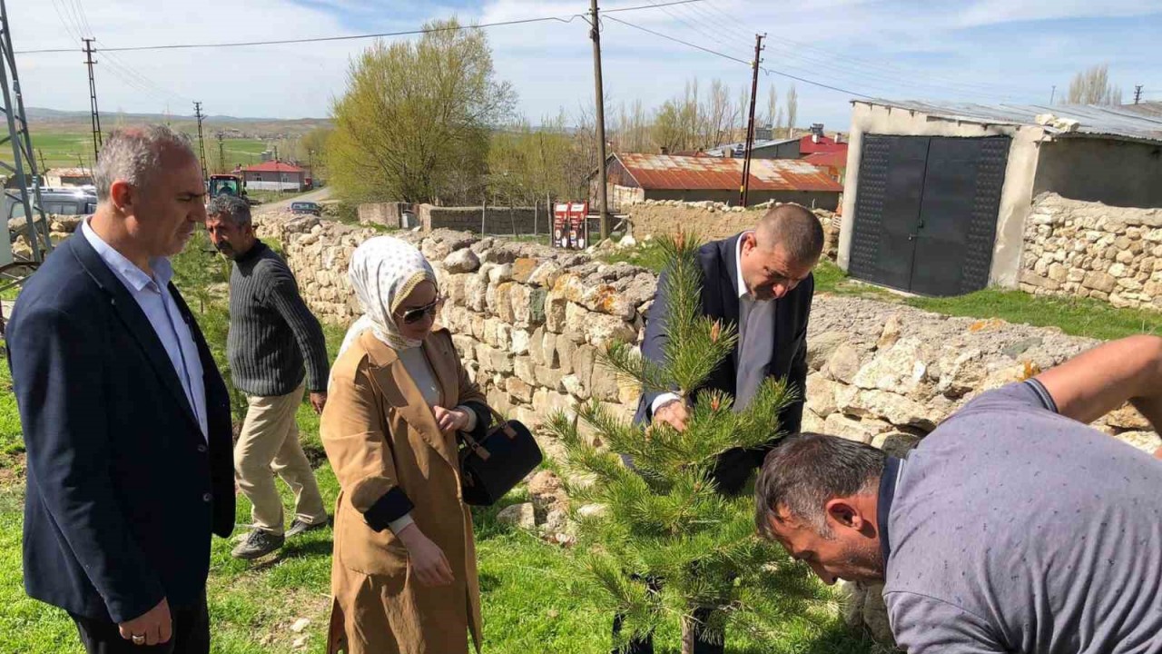 Küpeli köyünde fidanlar toprakla buluştu