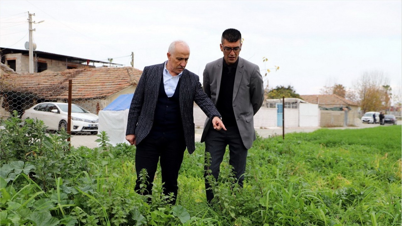 Mersin’de ata yadigarı karakılçık tohumunun üretiminden büyük verim elde edildi