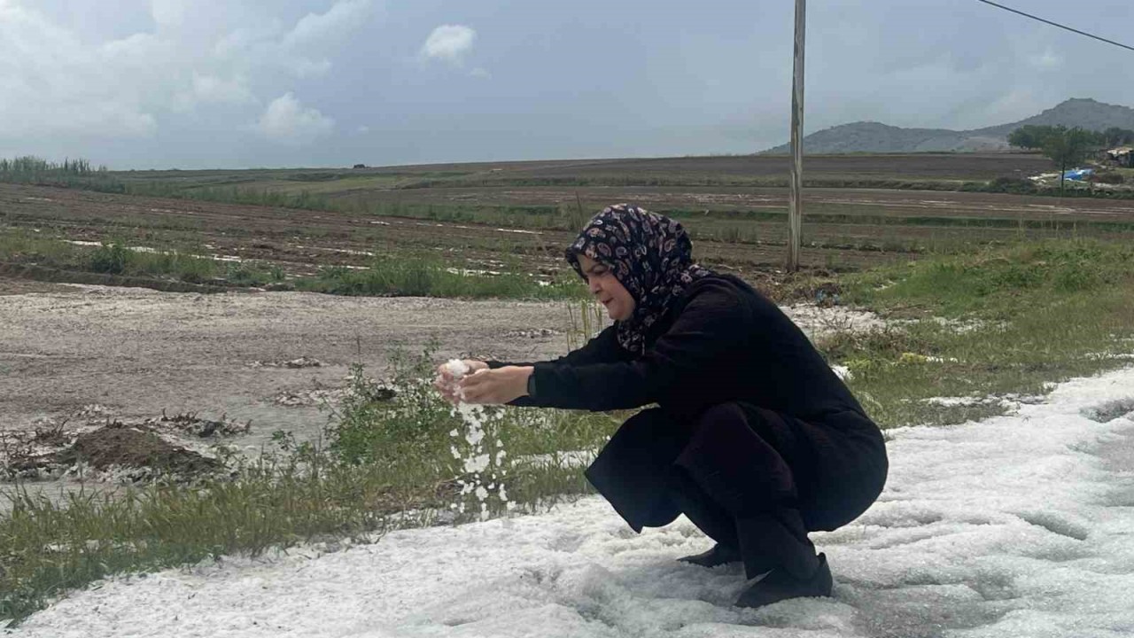 Nevşehir’de 30 bin dekar ekili arazi doludan zarar gördü