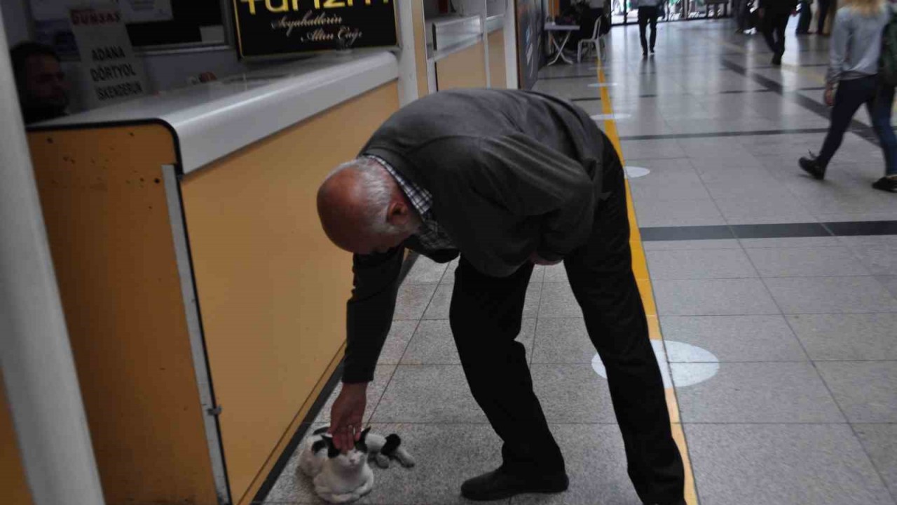 Otogarı mesken edinen ’Paslak’ yazıhanenin maskotu haline geldi