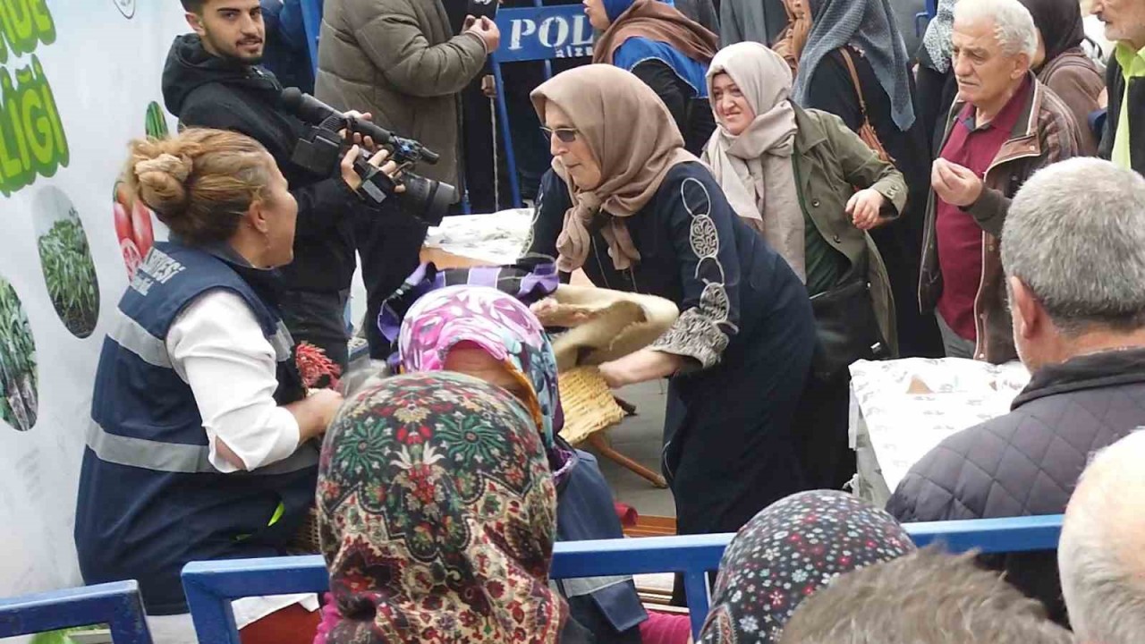 Rize’de Ata tohumu ve fide dağıtımında izdiham