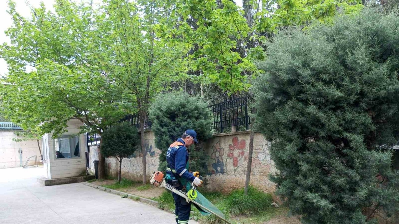 Seçim öncesi okul bahçelerine bakım