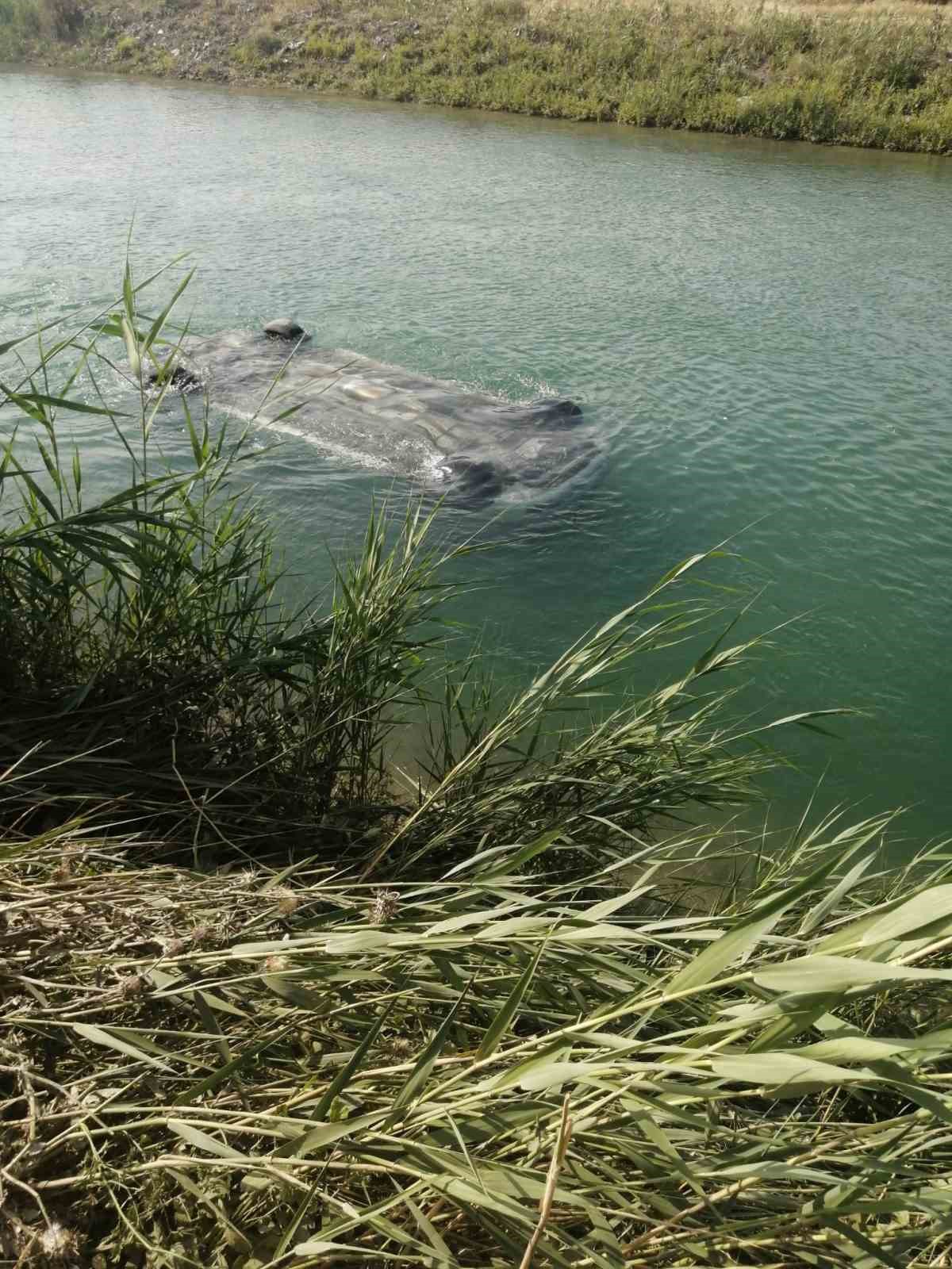 Sulama kanalına düşen otomobilden 3 erkek cesedi çıktı