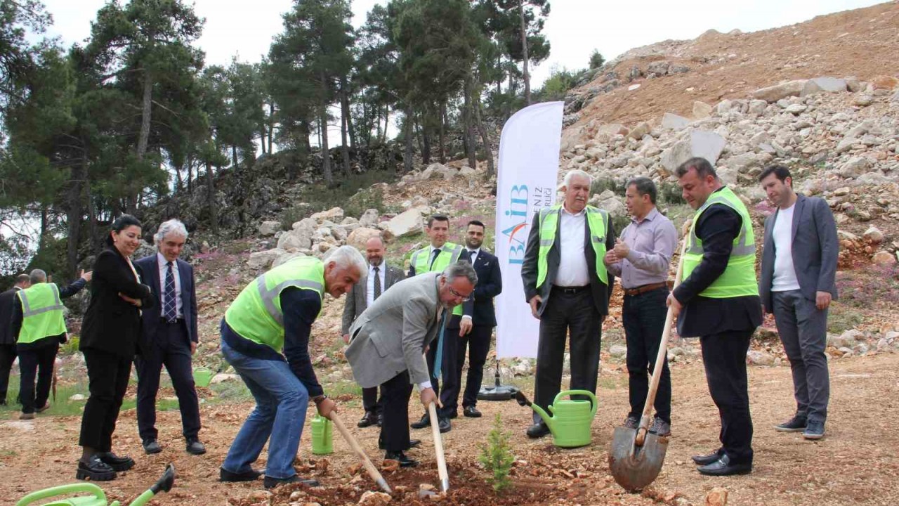 Terk edilmiş mermer ocağı rehabilite edilerek ağaçlandırıldı