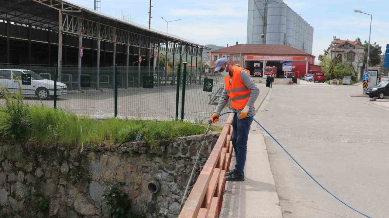 Tüm ilçeyi haşereye karşı ilaçladılar