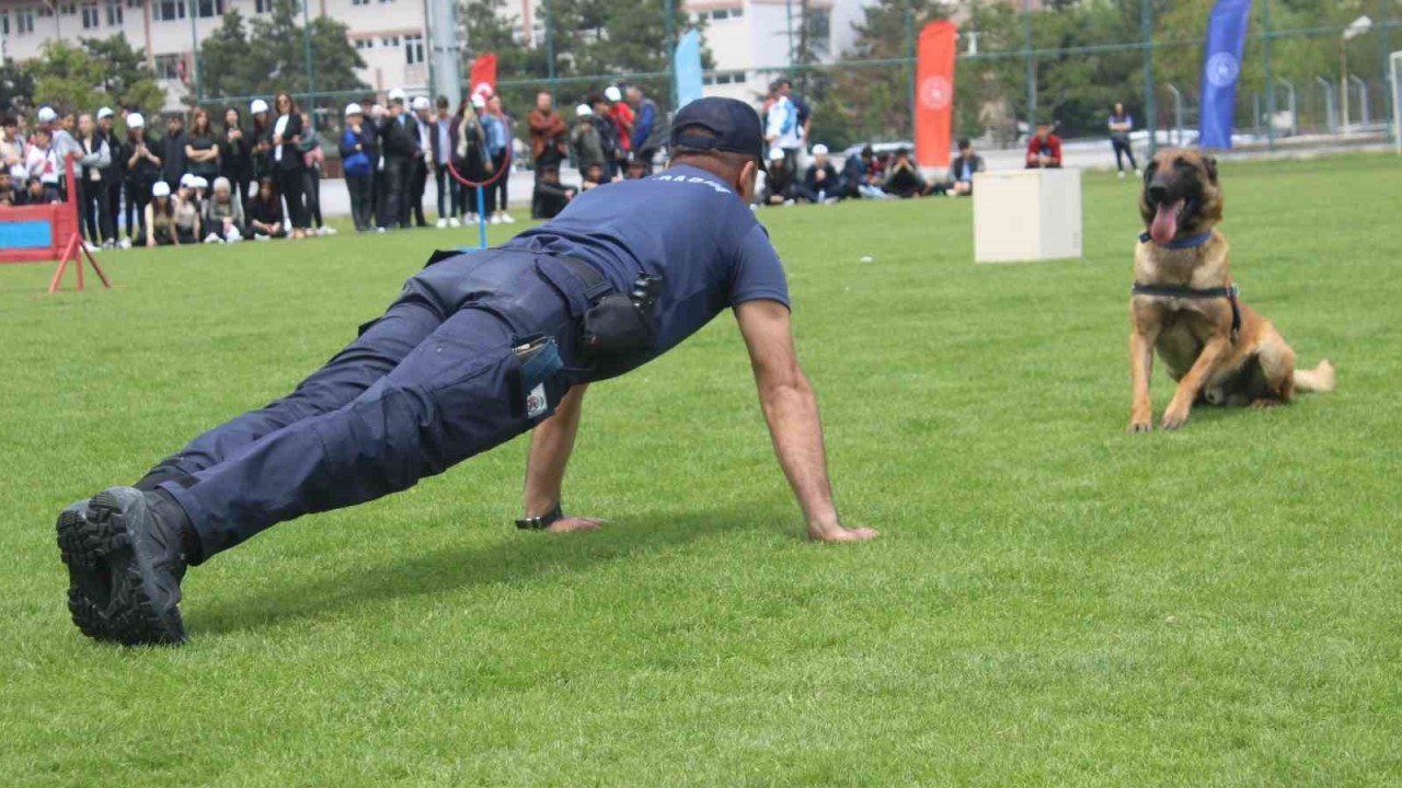 Tüm matematik sorularını cevaplayan Jandarma köpeği ’Rüzgar’ izleyenleri hayran bıraktı