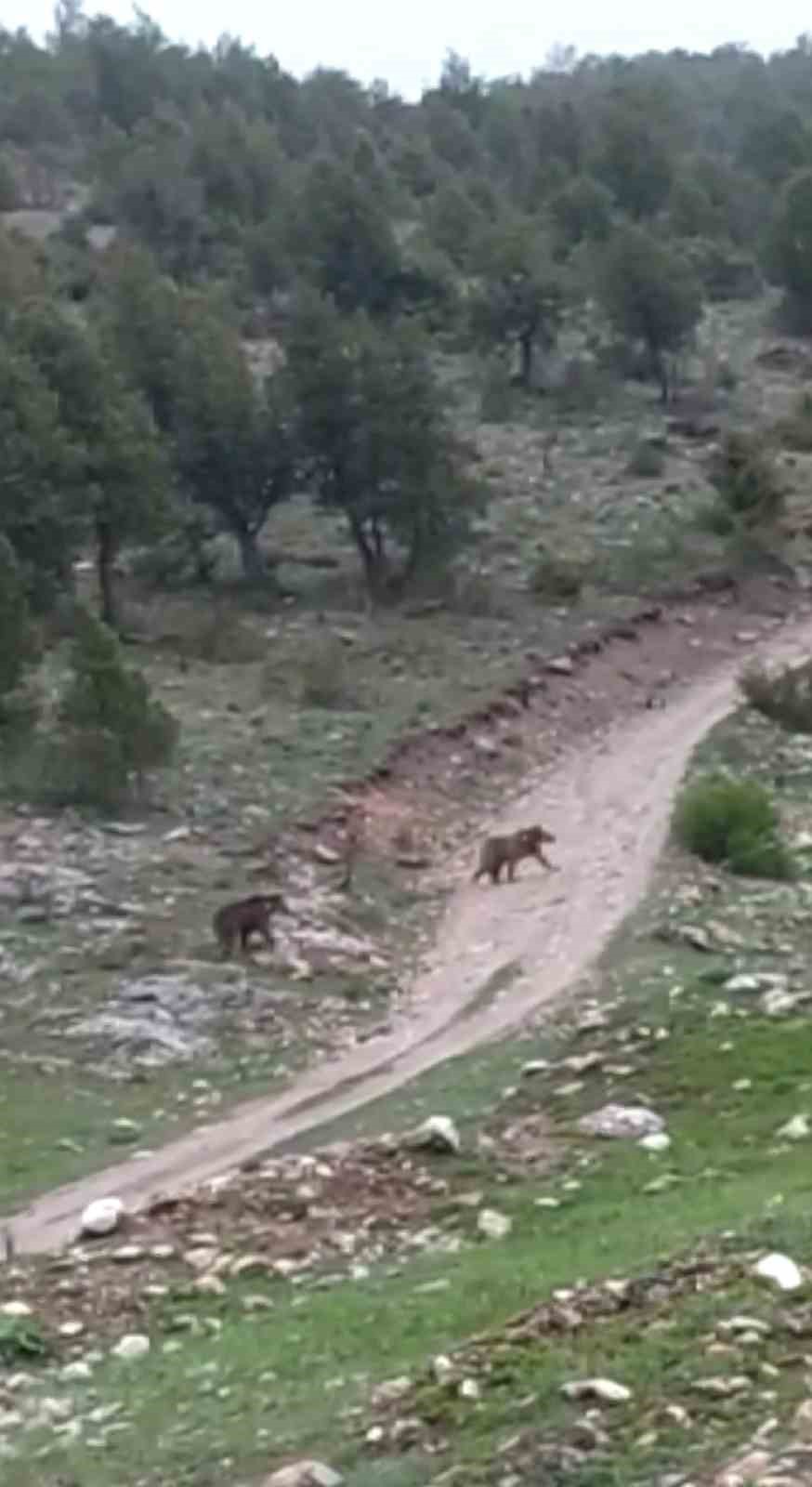 Yağmuru izlerken karşılaştılar, arabadan inmeye korktular