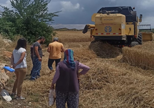 Didimde hububat ekili araziler denetlendi