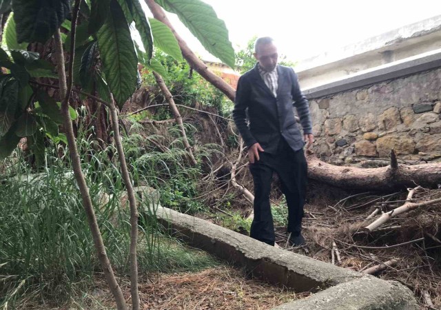 Edremitte tarihi kabirlerin bakımsızlığı tepkilere neden oldu