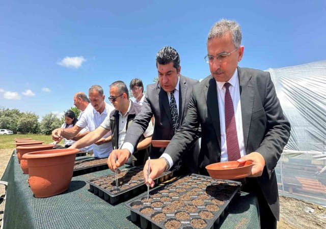 Elazığ Hipodrom Müdürlüğünün üreteceği binlerce çiçek hipodromları renklendirecek