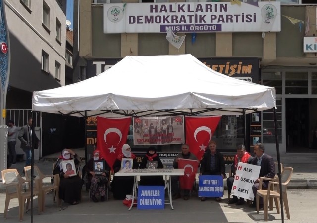 Evladı dağa kaçırılan anne: “Demirtaşı cezaevinden çıkaracaklardı. Şimdi çıkarsınlar da görelim”