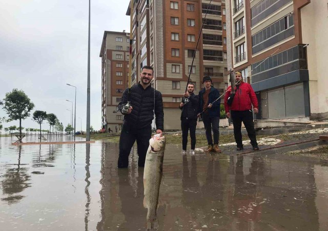 Gençlerden CHPli belediyeye ilginç tepki: Göle dönen yolda balık tuttular