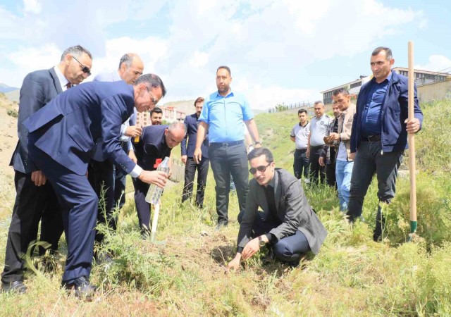 Hakkaride Dünya Tütünsüz Gününde fidan dikildi