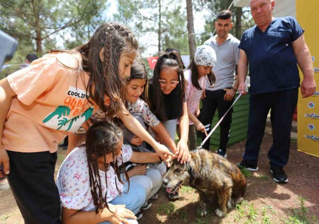 Kepezin Pati Atölyesinden sokak hayvanlarına yuva