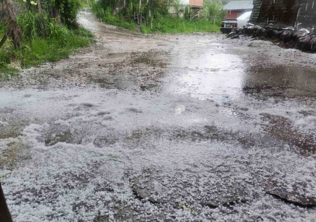 Koyulhisarda sağanak ve dolu etkili oldu