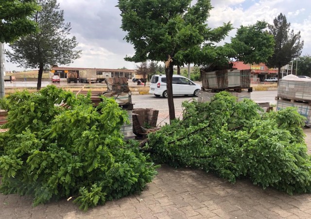 Kozlukta sağanak nedeniyle dereler taştı, ağaçlar devrildi