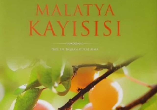 Malatya kayısı isimli kitap ödül getirdi