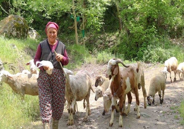 Merkezefendide kadın üreticiler sürülerini büyütüyor