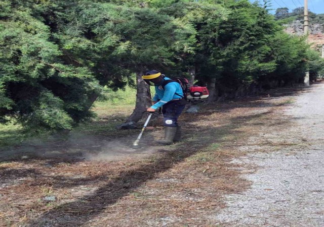 Ortacanın park bahçe ve yollarında çalışma