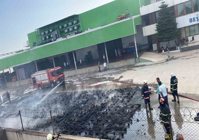 Paketleme tesisinde çıkan yangın söndürüldü