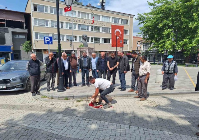 Seçim sonuçları için ilçe meydanında adak kesti