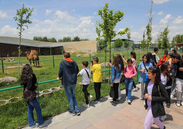 Talasın öğrencileri ‘şehri tanıyor