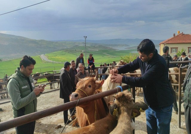 Yozgatta hayvan pazarları tedbir amacıyla kapatıldı