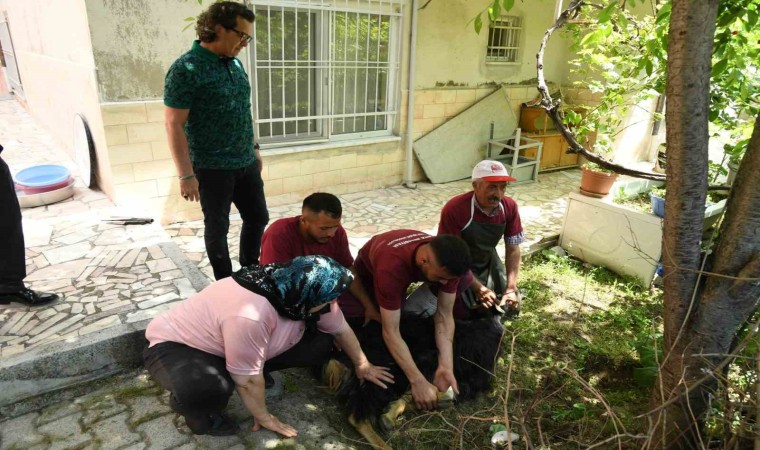 174 vatandaşın evlerine gidilerek, kurban kesim hizmeti verildi