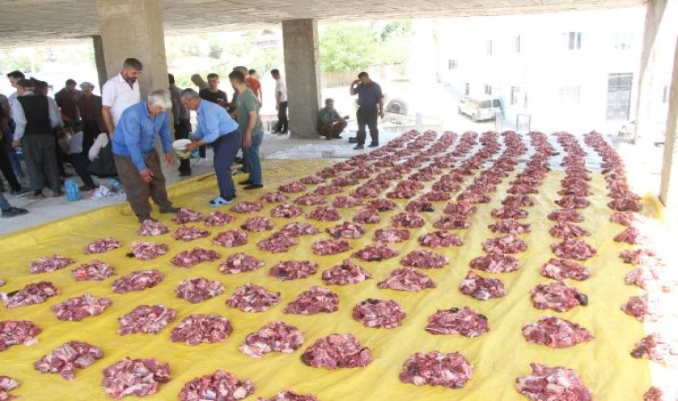 3 asırlık gelenekle, 1,5 ton eti, her aileye eşit dağıttılar