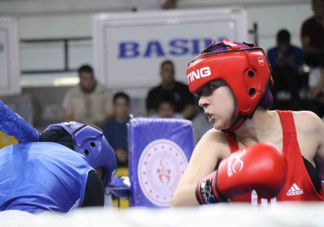 67 ilden 848 sporcu, Türkiye Ferdi Boks Şampiyonasında mücadele ediyor