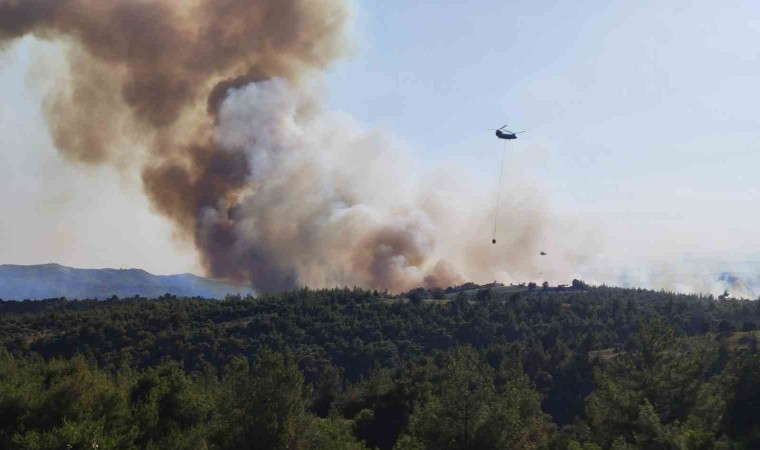 Adanada orman yangını: Havadan ve karadan müdahale başladı