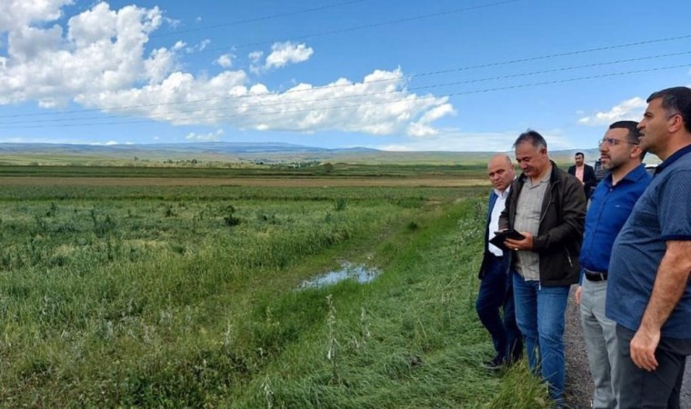 AK Parti milletvekili Çalkın, doludan zarar gören Akyakada