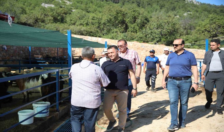 Alanya Belediyesi Kurban Satış Tesisi Kurban Bayramına hazır