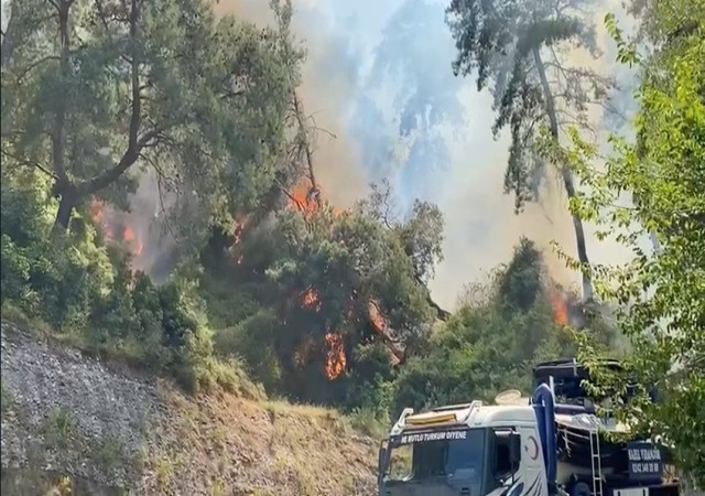 Antalyada konteyner yangını ormanlık alana sıçradı