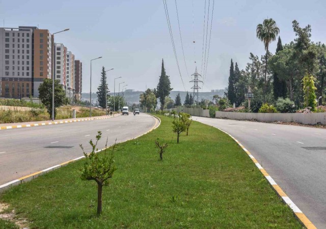 Antalyanın kurtuluş caddesi yemyeşil oldu