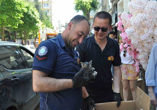 Aracın altına sıkışan yavru kedi itfaiye ekiplerince kurtarıldı