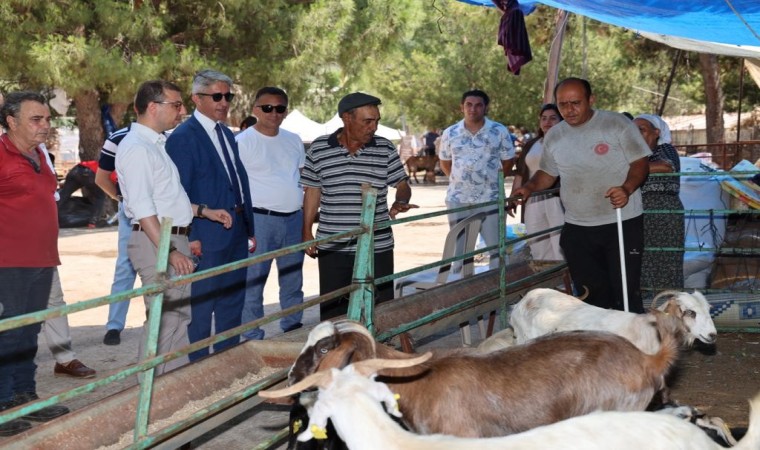 Başkan Oktay, kurban kesim yerlerini ziyaret etti