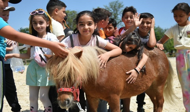 Başkent Millet Bahçesinde Manej açıldı