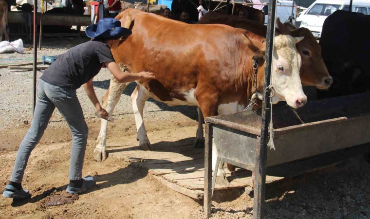 Bayram yaklaştı pazarlıklar kızıştı