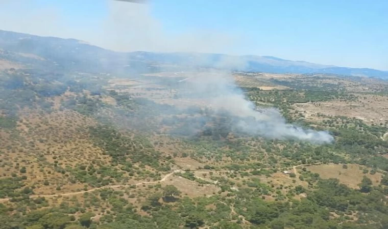 Bergama’da orman yangını