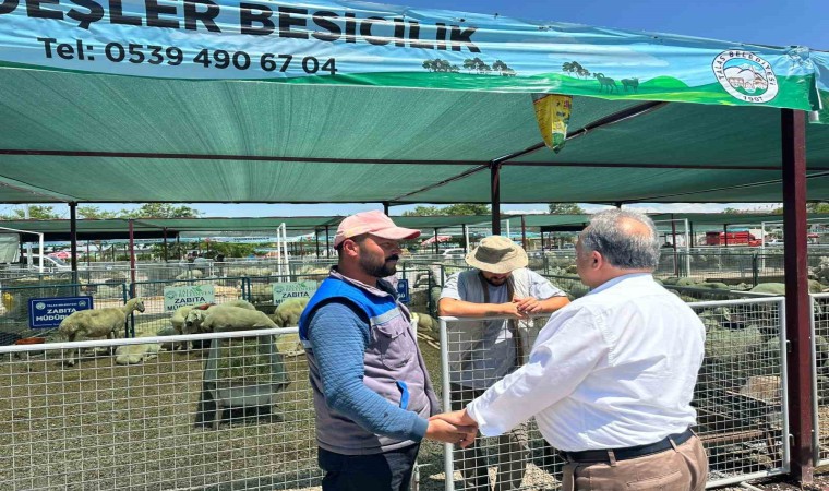 Besicilerden Başkan Yalçına hayvan pazarı teşekkürü