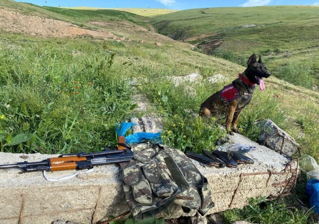 Bitlis merkezli silah kaçakçılığı operasyonu