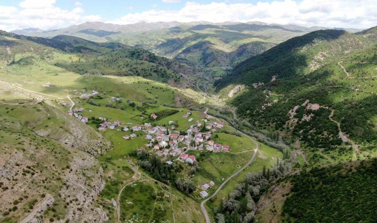 Bozkır olarak bilinen Sivasta Karadenizi andıran görüntüler mest ediyor