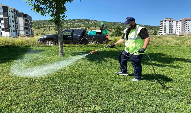 Bozüyükte haşere mücadelesi kene ilaçlaması ile sürüyor