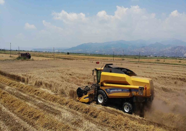 Buğday üreticileri hasat için zamanla yarışıyor